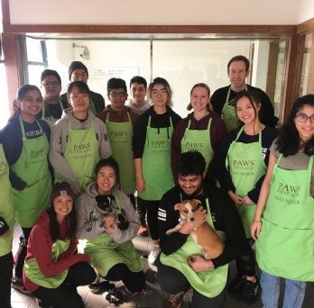 UIC Global students posing in green 