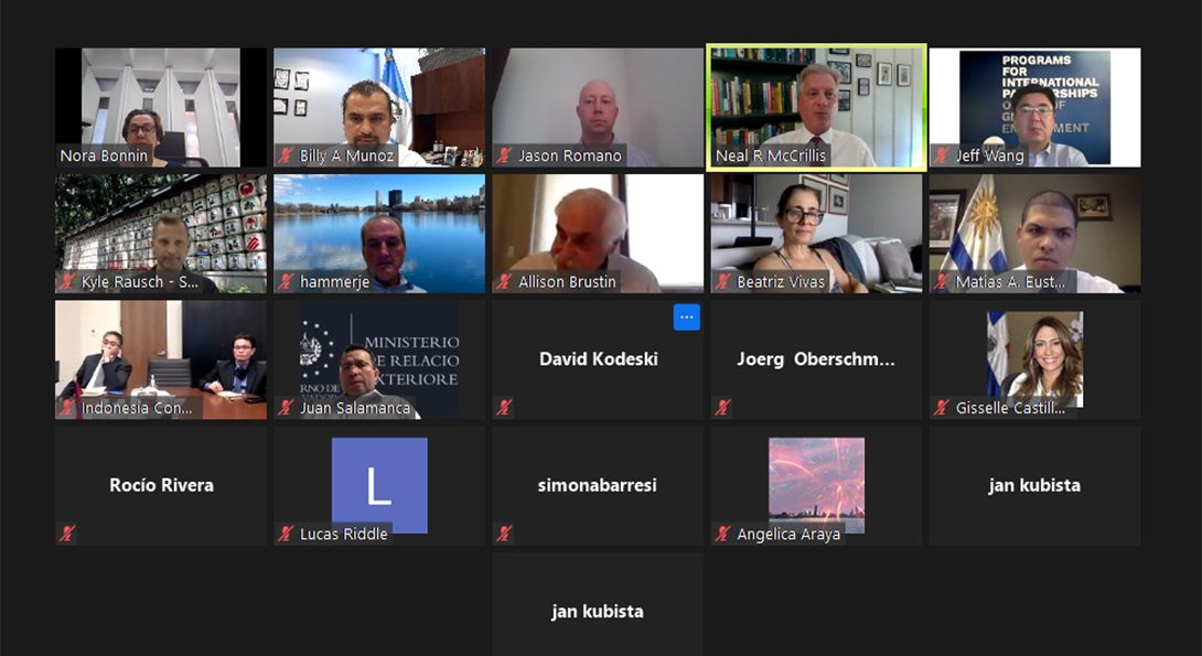 Consular corps town hall on zoom