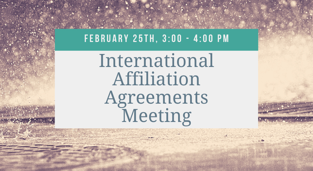 International Affiliation Agreements Meeting Flyer