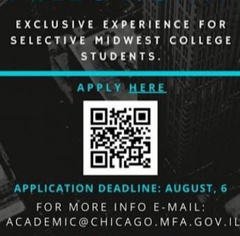 Young Diplomat Leadership Fellowship flyer
                  